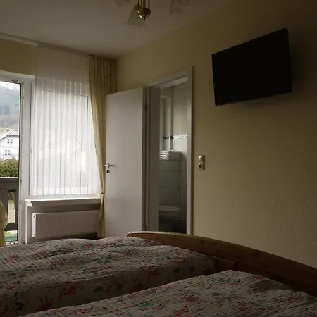 Haus Reitz ベッド・アンド・ブレックファスト 3*